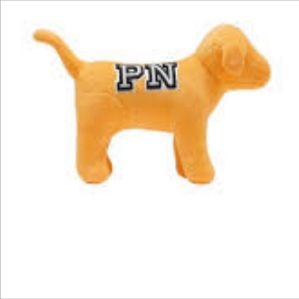 Victoria Secret 🎀